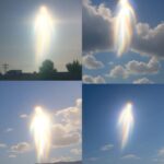 レス22番の画像2