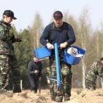 レス2番の画像1