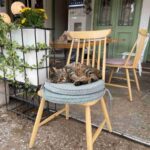 レス34番の画像1