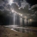 レス22番の画像1