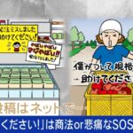 レス1番のリンク先のサムネイル画像