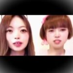 レス1番のリンク先のサムネイル画像