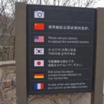 レス41番の画像3