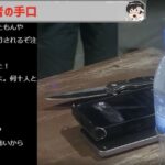レス43番の画像2