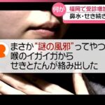 レス2番のリンク先のサムネイル画像