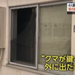 レス40番の画像2