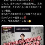 レス4番の画像4