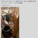 レス1番の画像1