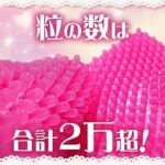 レス2番の画像2