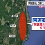 レス1番のリンク先のサムネイル画像