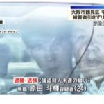 レス1番の画像1