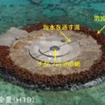 レス2番の画像1