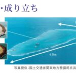 レス11番の画像1