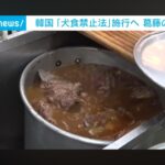 レス2番の画像3