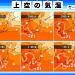 レス72番の画像1