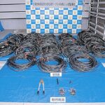 レス1番のリンク先のサムネイル画像