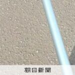 レス1番のリンク先のサムネイル画像