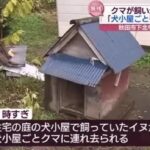 レス21番の画像1