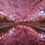 レス19番の画像5
