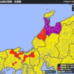 レス20番の画像3