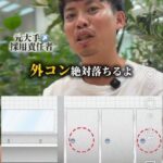 レス2番の画像2