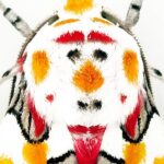 レス23番の画像1