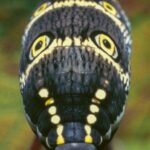 レス14番の画像3