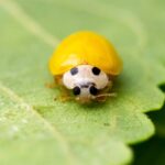 レス26番の画像1