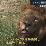 レス1番の画像2