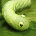 レス14番の画像1