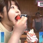 レス1番の画像3