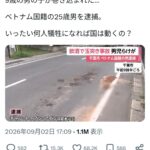 レス2番の画像1