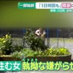 レス1番のリンク先のサムネイル画像