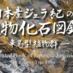 レス1番のリンク先のサムネイル画像