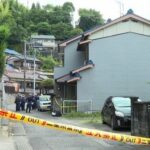 レス1番のリンク先のサムネイル画像