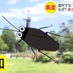 レス1番の画像4