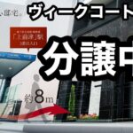 レス2番のリンク先のサムネイル画像