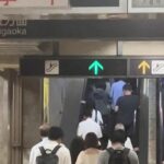 レス2番のリンク先のサムネイル画像