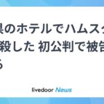 レス1番のリンク先のサムネイル画像