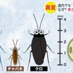 レス1番の画像3