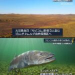 レス3番の画像2