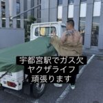 レス1番の画像3
