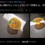 レス2番の画像1