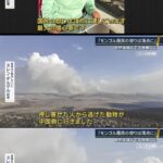 レス3番の画像3